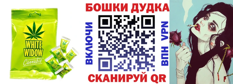 Canna-Cookies марихуана  Саранск 