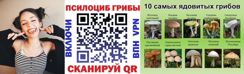 Псилоцибиновые грибы мицелий  купить   Саранск 